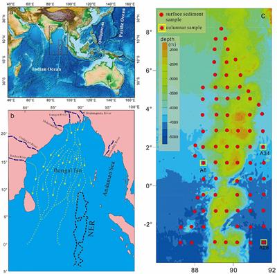 The sources and transport pathways of sediment in the northern Ninety-east Ridge of the India Ocean over the last 35000 years